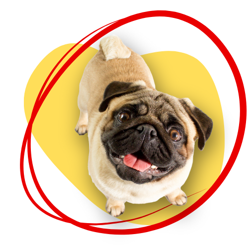 Black and White Lightning Charge Technology Logo (1)